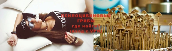 прущая мука Абаза