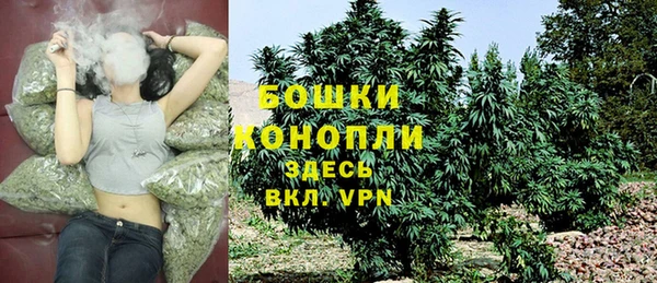 дурь Осинники